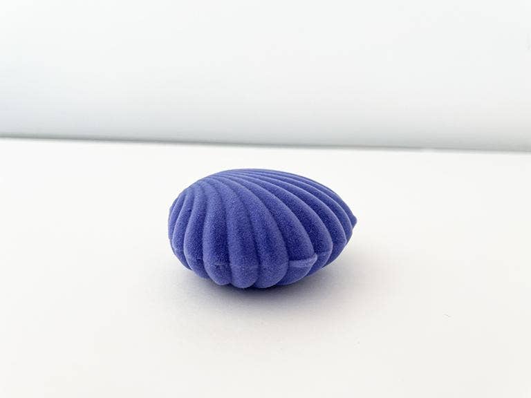 Jewelery box shell blue